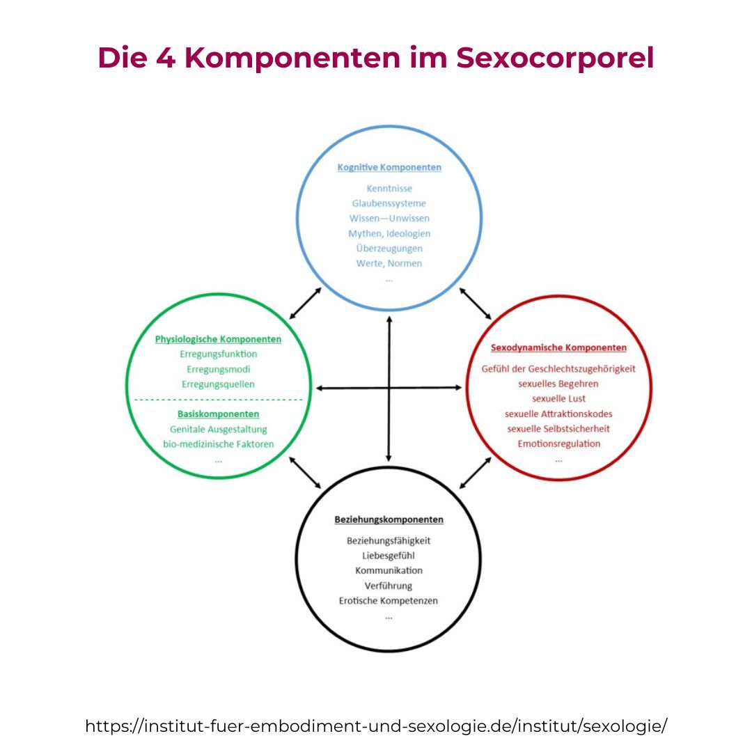 Sexualberatung nach Sexocorporel 4 Komponenten